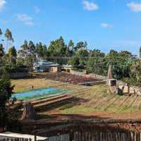 Basha Bekele Murago Natural