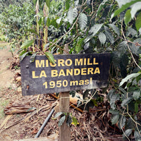 La Bandera Red Honey Gesha