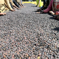 Ethiopia Natural Pour Over Pouch