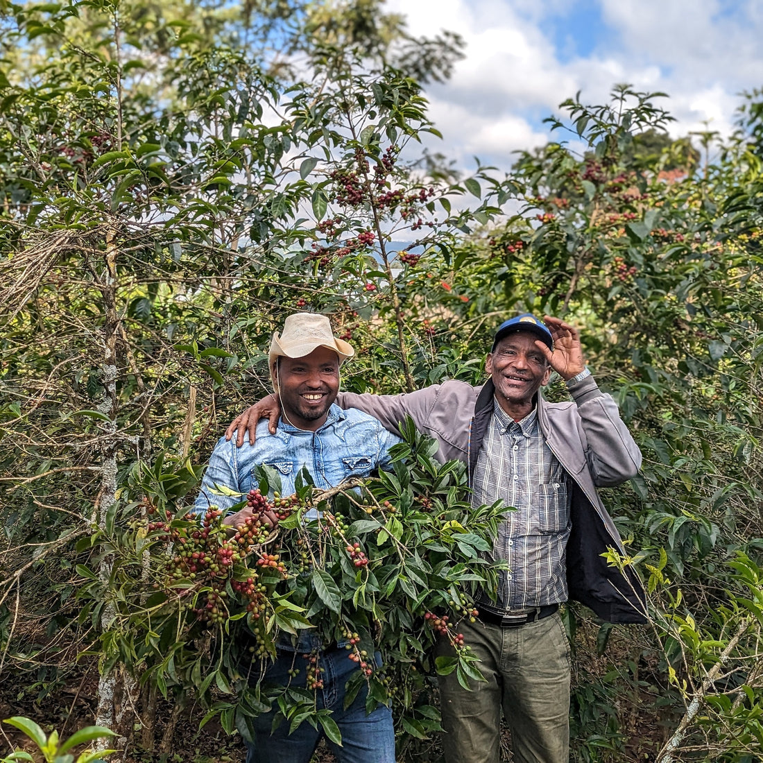Basha Bekele Murago Natural