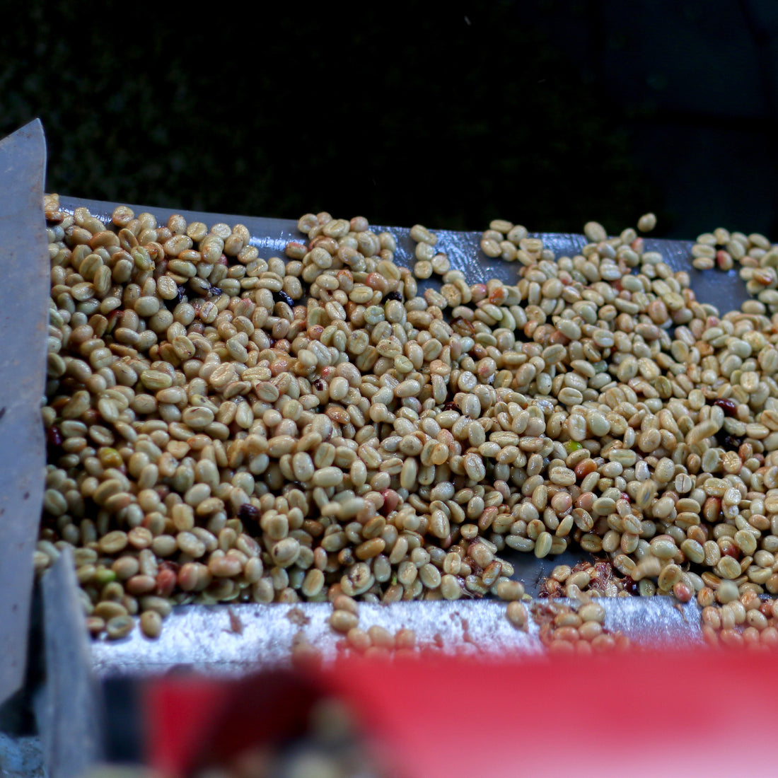 Lima MWP Decaf