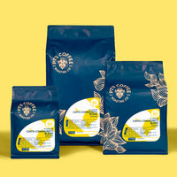 Chito Community Blend Washed