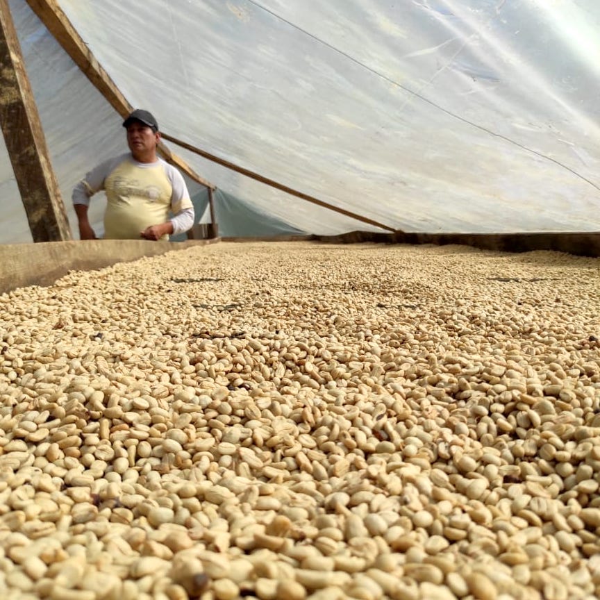 Chito Community Blend Washed