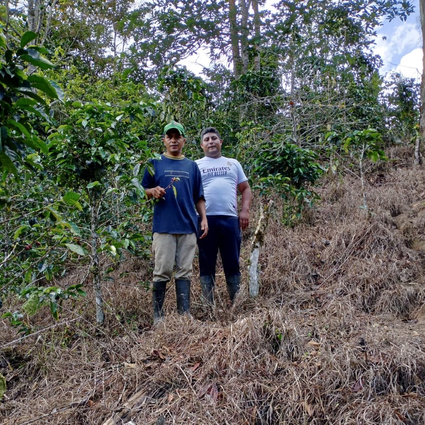Finca Palermo AAA Washed