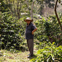 Jaime Casallas standing amongst coffee trees wearing a tradional vueltiao hat.