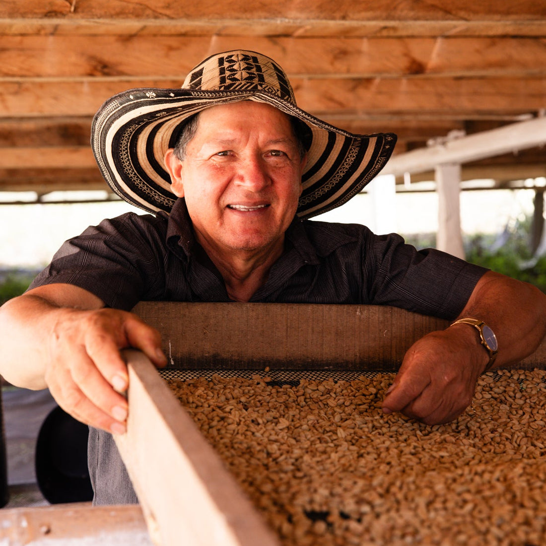 Jaime Casallas wearing a traditional vueltiao hat inspecting a drying tray of coffee beans.